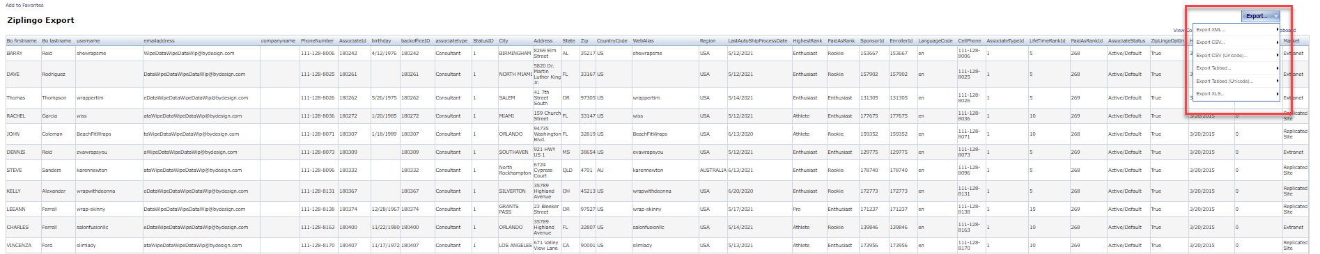 ziplingo_export_example.png